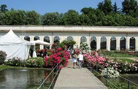 Roseto Niso Fumagalli